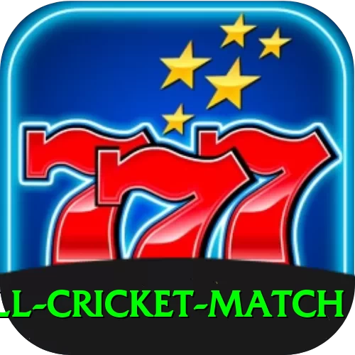 all cricket match Turbo APK v1.0.0 - 2