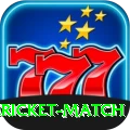 all cricket match Turbo APK v1.0.0