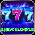 andy flower APK Pro v3.2.4