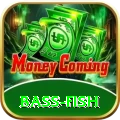 bass fish Casino Official v5.5.7