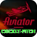 cricket pitch - Master Edition v3.6.1