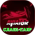 grass carp Prime Latest v1.9.7
