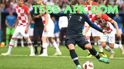 sports cricket - VIP Deluxe Screenshot 4 - 6