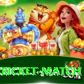 india cricket match Premium New
