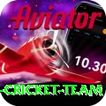 pakistan women cricket team Premium Casino App