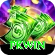 PKWin Master v1.0.0