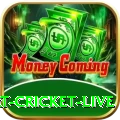 smart cricket live APK King v1.4.0