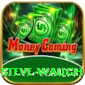 steve waugh Mega Latest v1.1.8