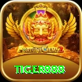 tiger888 Live Casino Max