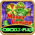 v cricket Mega - Win Real PKR
