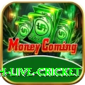 watch live cricket Royal Jackpot