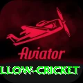 willow cricket Bonus Max v4.8.0